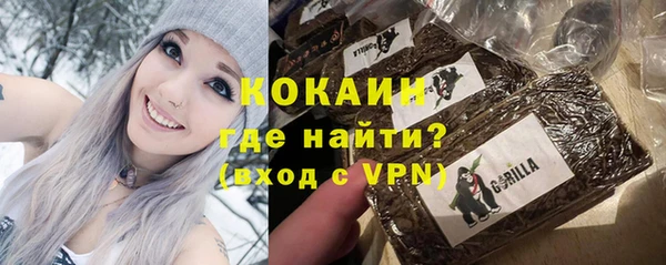 стафф Покачи