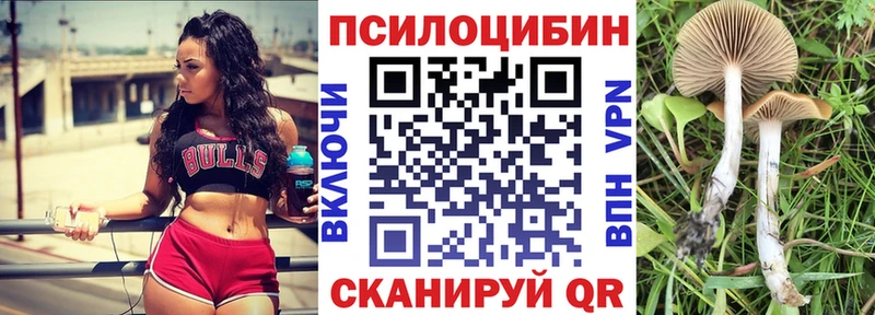 где продают наркотики  Сусуман  Галлюциногенные грибы Cubensis 